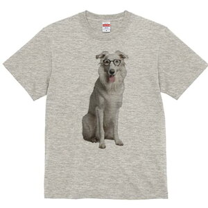 {]C TVc  j[NfUCY LbY t@  t vg JWA 킢 lԗp Mtg I Kl {]C