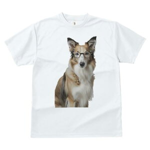 VFbghV[vhbO TVc  j[NfUCfB[X t@  t vg JWA 킢 lԗp Mtg I Kl VFbghV[vhbO