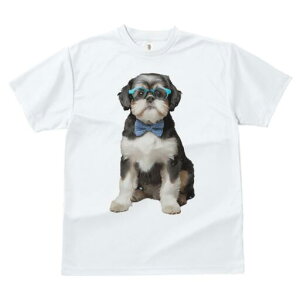 V[Y[ TVc  j[NfUCfB[X t@  t vg JWA 킢 lԗp Mtg I lN^C V[Y[ ዾ