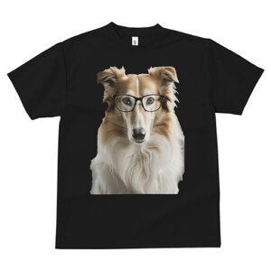 {]C TVc  j[NfUCY LbY t@  t vg JWA 킢 lԗp Mtg I Kl {]C