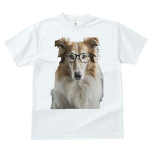 {]C TVc  j[NfUCfB[X t@  t vg JWA 킢 lԗp Mtg I Kl {]C