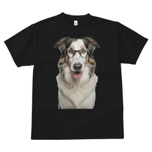 {[_[R[ TVc  j[NfUCY LbY t@  t vg JWA 킢 lԗp Mtg I Kl {[_[R[