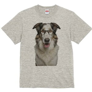 {[_[R[ TVc  j[NfUCY LbY t@  t vg JWA 킢 lԗp Mtg I Kl {[_[R[