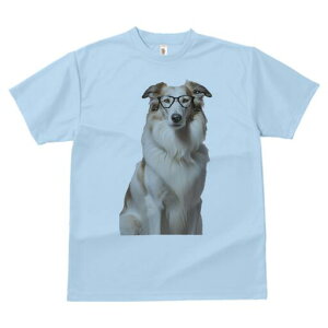 R[ TVc  j[NfUCY LbY t@  t vg JWA 킢 lԗp Mtg I Kl R[