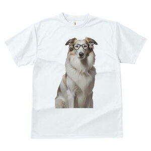 R[ TVc  j[NfUCY LbY t@  t vg JWA 킢 lԗp Mtg I Kl R[