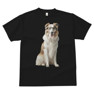 R[ TVc  j[NfUCfB[X t@  t vg JWA 킢 lԗp Mtg I Kl R[