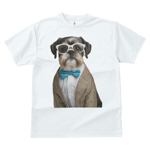 V[Y[ TVc  j[NfUCfB[X t@  t vg JWA 킢 lԗp Mtg I lN^C V[Y[ X[c ዾ t@bV