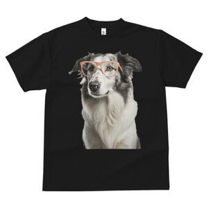 {[_[R[ TVc  j[NfUCY LbY t@  t vg JWA 킢 lԗp Mtg I Kl {[_[R[