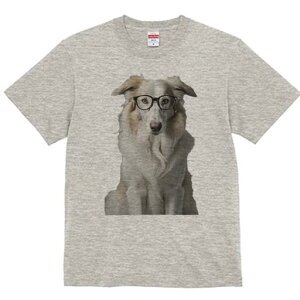 {[_[R[ TVc  j[NfUCY LbY t@  t vg JWA 킢 lԗp Mtg I Kl {[_[R[