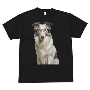 {[_[R[ TVc  j[NfUCfB[X t@  t vg JWA 킢 lԗp Mtg I Kl {[_[R[