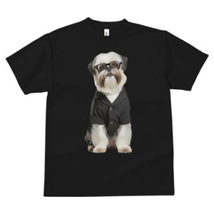 V[Y[ TVc  j[NfUCfB[X t@  t vg JWA 킢 lԗp Mtg I X[c V[Y[ ዾ