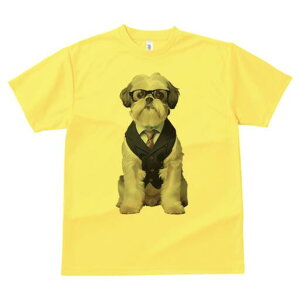 V[Y[ TVc  j[NfUCY LbY t@  t vg JWA 킢 lԗp Mtg I X[c V[Y[ lN^C Kl