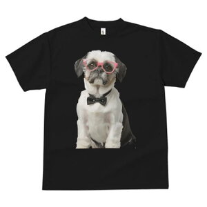 V[Y[ TVc  j[NfUCfB[X t@  t vg JWA 킢 lԗp Mtg I Kl V[Y[ lN^C