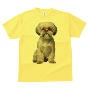 V[Y[ TVc  j[NfUCY LbY t@  t vg JWA 킢 lԗp Mtg I Kl V[Y[