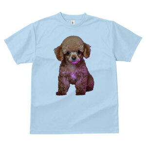 gCv[h TVc  j[NfUCY LbY t@  t vg JWA 킢 lԗp Mtg I ʂ gCv[h L[g ybg