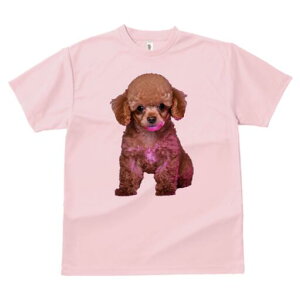 gCv[h TVc  j[NfUCY LbY t@  t vg JWA 킢 lԗp Mtg I ʂ gCv[h L[g ybg