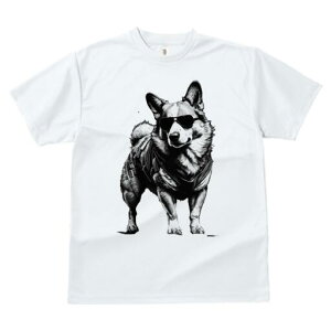 R[M[ TVc  j[NfUCfB[X t@  t vg JWA 킢 lԗp Mtg I TOX R[M[ xXg