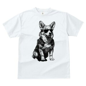 R[M[ TVc  j[NfUCfB[X t@  t vg JWA 킢 lԗp Mtg I TOX R[M[ WPbg