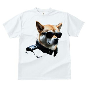 Č TVc  j[NfUCfB[X t@  t vg JWA 킢 lԗp Mtg I TOX Č vW