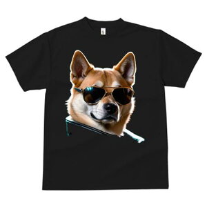 Č TVc  j[NfUCfB[X t@  t vg JWA 킢 lԗp Mtg I TOX Č