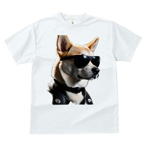 Č TVc  j[NfUCfB[X t@  t vg JWA 킢 lԗp Mtg I TOX Č vW