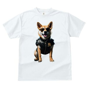 Č TVc  j[NfUCfB[X t@  t vg JWA 킢 lԗp Mtg I TOX Č vW