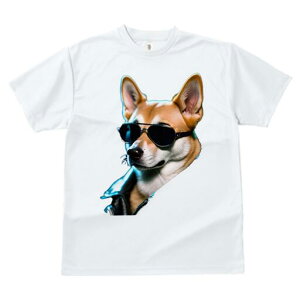 Č TVc  j[NfUCfB[X t@  t vg JWA 킢 lԗp Mtg I TOX Č vW