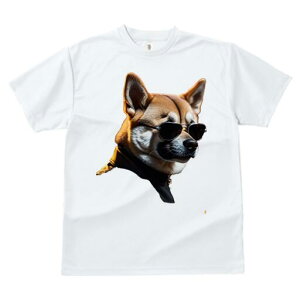 Č TVc  j[NfUCfB[X t@  t vg JWA 킢 lԗp Mtg I TOX Č WPbg