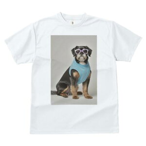 s TVc  j[NfUCfB[X t@  t vg JWA 킢 lԗp Mtg I TVc s Kl