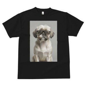 V[Y[ TVc  j[NfUCfB[X t@  t vg JWA 킢 lԗp Mtg I Kl V[Y[