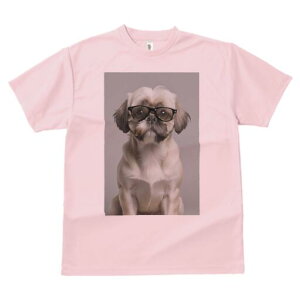 V[Y[ TVc  j[NfUCY LbY t@  t vg JWA 킢 lԗp Mtg I Kl V[Y[