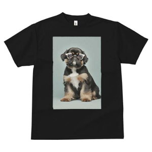 V[Y[,yLj[Y TVc  j[NfUCY LbY t@  t vg JWA 킢 lԗp Mtg I Kl V[Y[,yLj[Y