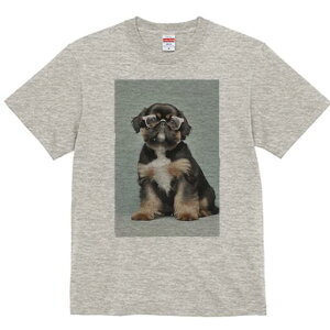 V[Y[,yLj[Y TVc  j[NfUCY LbY t@  t vg JWA 킢 lԗp Mtg I Kl V[Y[,yLj[Y