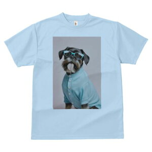 ubZOtH TVc  j[NfUCY LbY t@  t vg JWA 킢 lԗp Mtg I Kl ubZOtH Vc {^