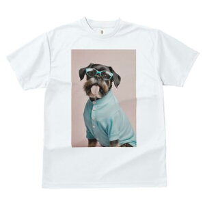 ubZOtH TVc  j[NfUCY LbY t@  t vg JWA 킢 lԗp Mtg I Kl ubZOtH Vc {^