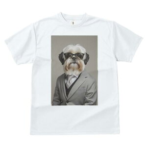 V[Y[ TVc  j[NfUCfB[X t@  t vg JWA 킢 lԗp Mtg I X[c V[Y[ lN^C Kl