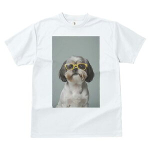 V[Y[ TVc  j[NfUCfB[X t@  t vg JWA 킢 lԗp Mtg I Kl V[Y[