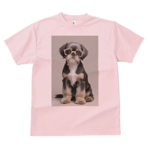 V[Y[ TVc  j[NfUCY LbY t@  t vg JWA 킢 lԗp Mtg I Kl V[Y[