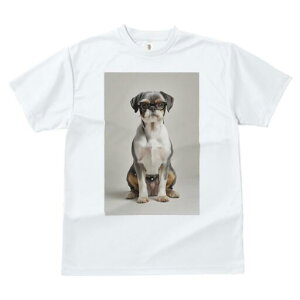 ubZOtH TVc  j[NfUCfB[X t@  t vg JWA 킢 lԗp Mtg I Kl ubZOtH