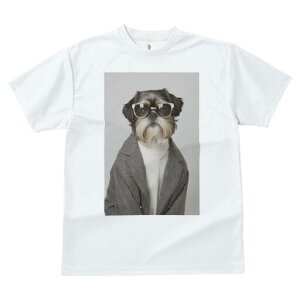 V[Y[ TVc  j[NfUCfB[X t@  t vg JWA 킢 lԗp Mtg I Kl V[Y[ WPbg Z[^[