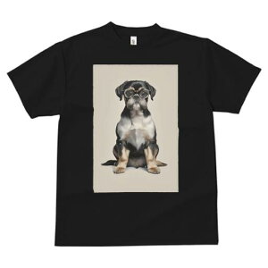 ubZOtH TVc  j[NfUCfB[X t@  t vg JWA 킢 lԗp Mtg I Kl ubZOtH