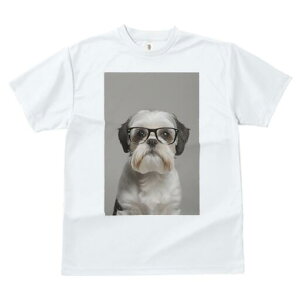 V[Y[ TVc  j[NfUCfB[X t@  t vg JWA 킢 lԗp Mtg I Kl V[Y[