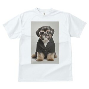 V[Y[ TVc  j[NfUCfB[X t@  t vg JWA 킢 lԗp Mtg I X[c V[Y[ ዾ