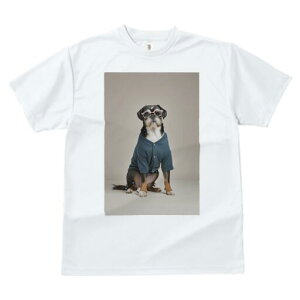 ubZOtH TVc  j[NfUCfB[X t@  t vg JWA 킢 lԗp Mtg I Kl ubZOtH Vc