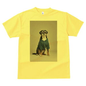 ubZOtH TVc  j[NfUCY LbY t@  t vg JWA 킢 lԗp Mtg I Kl ubZOtH Vc