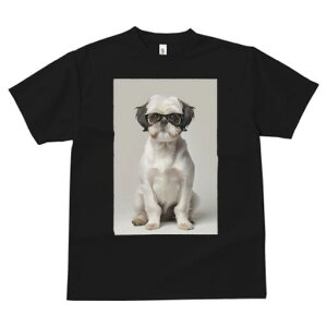 V[Y[ TVc  j[NfUCfB[X t@  t vg JWA 킢 lԗp Mtg I Kl V[Y[