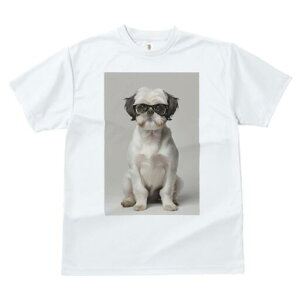 V[Y[ TVc  j[NfUCY LbY t@  t vg JWA 킢 lԗp Mtg I Kl V[Y[