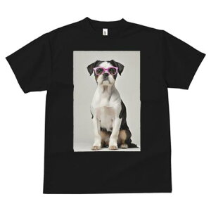 {XgeA TVc  j[NfUCfB[X t@  t vg JWA 킢 lԗp Mtg I Kl {XgeA