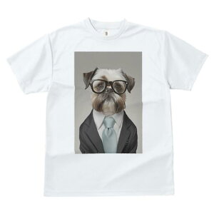 V[Y[ TVc  j[NfUCfB[X t@  t vg JWA 킢 lԗp Mtg I X[c V[Y[ lN^C ዾ