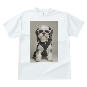 V[Y[ TVc  j[NfUCfB[X t@  t vg JWA 킢 lԗp Mtg I Kl V[Y[ 